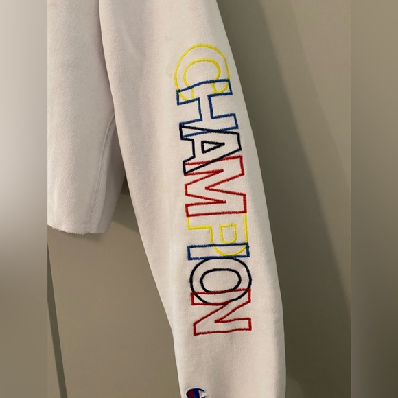Champion H&M Reverse Weave Cropped Hoodie - Picture 2 of 4